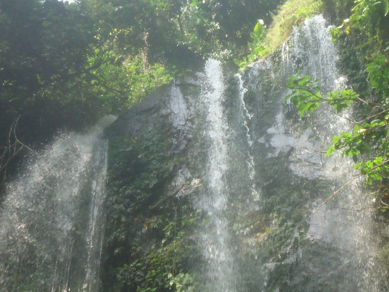 Local Tourism